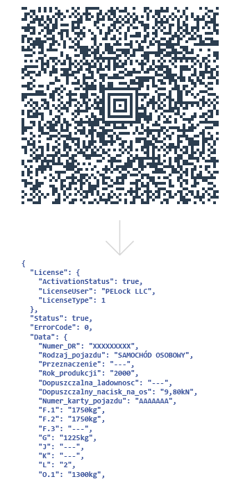 Dekodowanie kodu AZTEC 2D do formatu JSON.